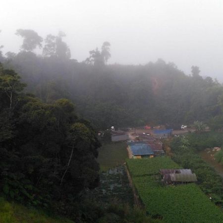 The Pines Hotel Kampung Kuala Terla Ngoại thất bức ảnh