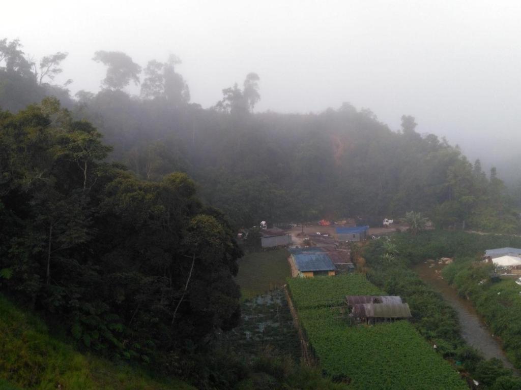 The Pines Hotel Kampung Kuala Terla Ngoại thất bức ảnh
