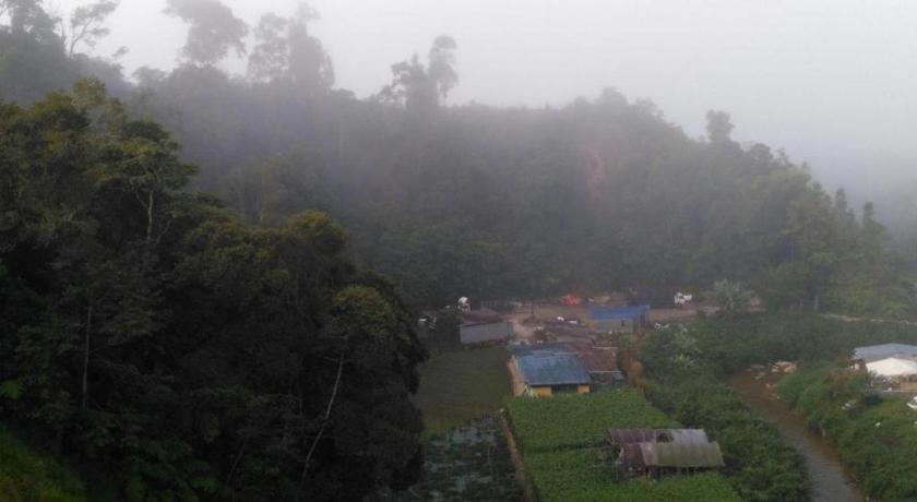 The Pines Hotel Kampung Kuala Terla Ngoại thất bức ảnh